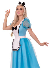 Looking Glass Alice Costume